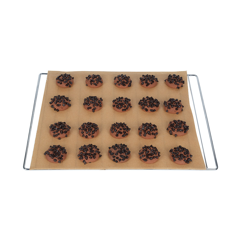 Roaster Non Slicone Rebating Pan Douleur